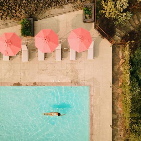 Sagecliffe Resort & Spa George エクステリア 写真