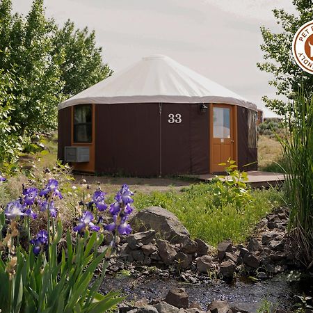 Sagecliffe Resort & Spa George エクステリア 写真